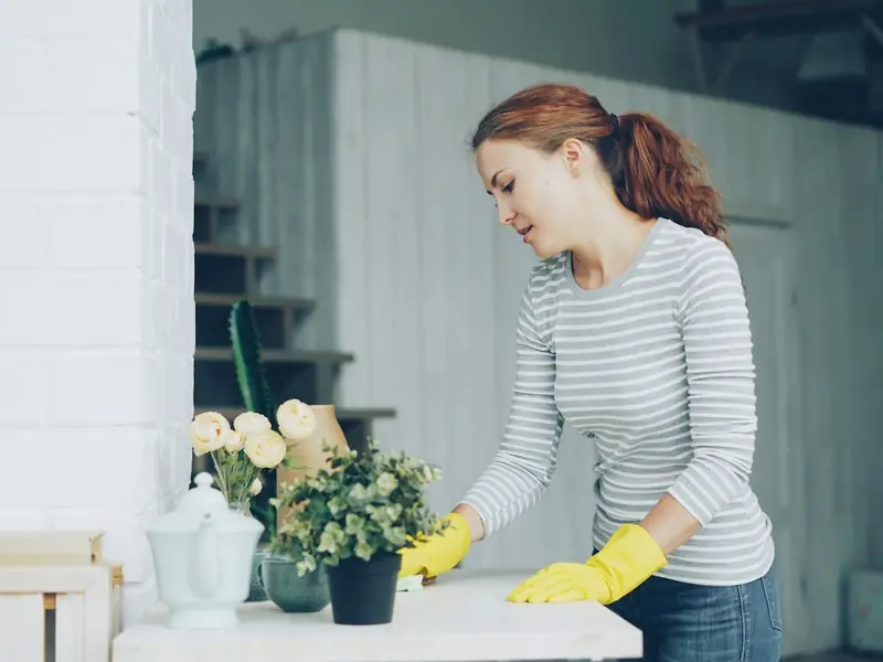 Cleaner in yellow gloves wiping down a table